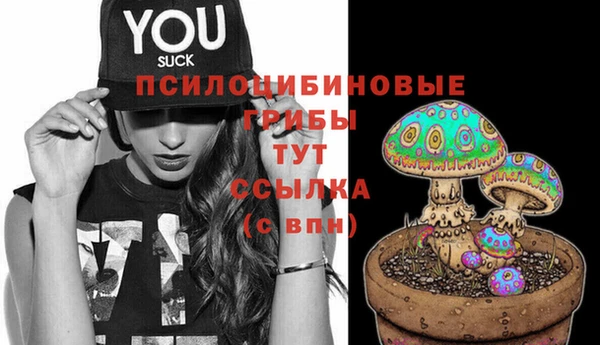 хмурый Медногорск