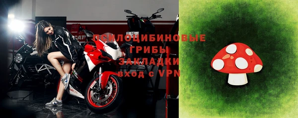 хмурый Медногорск