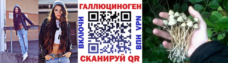 Купить  Димитровград  Галлюциногенные грибы MAGIC MUSHROOMS 