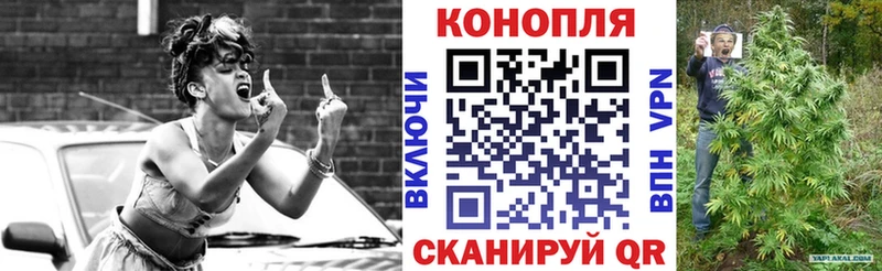 Купить где  Димитровград  Конопля Amnesia 